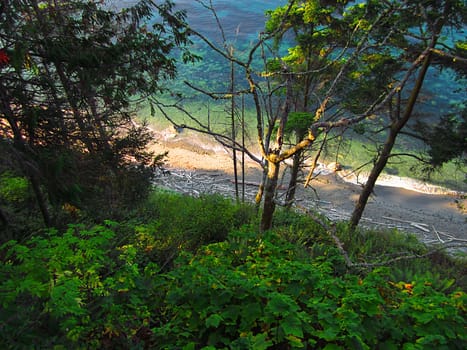 A photograph of scenery near water.