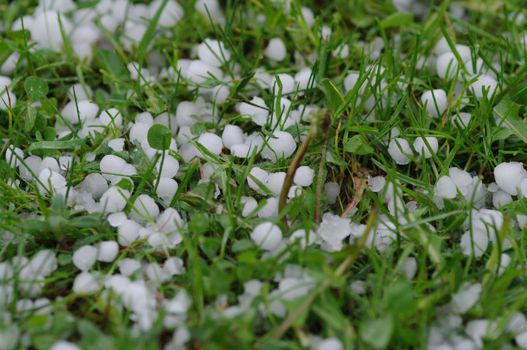 hail balls on the ground