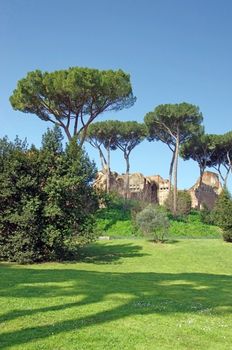 Palatine hill (Domus Severiana ruins) in Rome