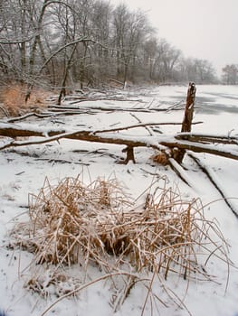 Snowfall over a frozen wetland at Lib Conservation Area in Illinois.