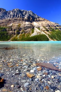Water Level View of Peyto Lake in Banff National Park - Canada.