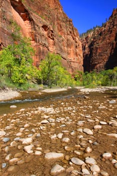 Virgin River ripples out from the Narrows of Zion Canyon in Utah.