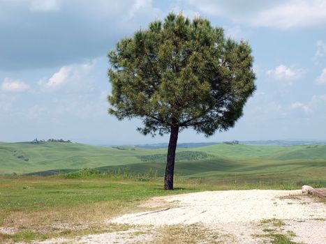 The landscape of the Val d’Orcia. Tuscany. Italiy