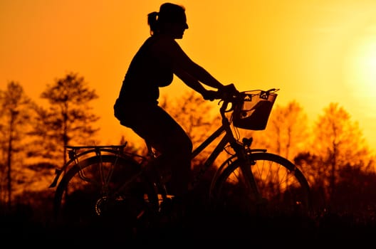 In the picture a young woman riding a bicycle on a sunset background.