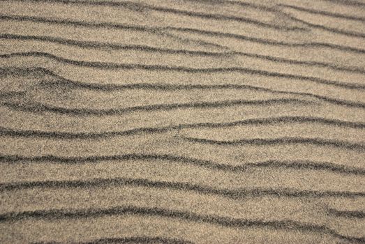 Wind causes ridges in sand dunes