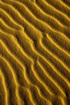 Light and shadow create sand snakes in desert