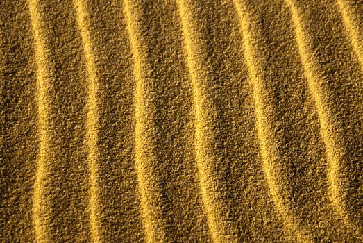 Light and shadow create sand snakes in desert