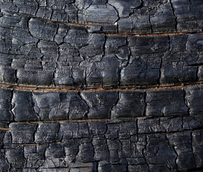 burned wood texture found near a fireplace