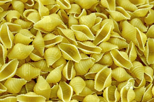 spaghetti seashells background close-up