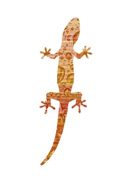 Closeup of a gecko on white with wood and droplets background