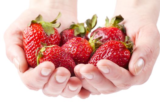 Woman hands holding heap of fresh strawberries