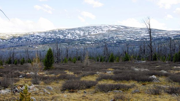 Primordial mountain landscape by springtime