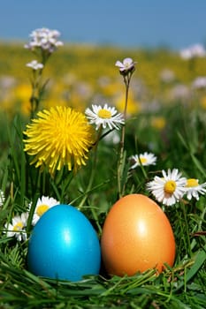 colorful Easter egg in the fresh  spring meadow