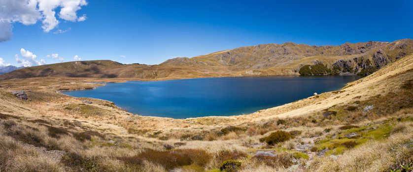 Sylvester Lakes in Tasman Mountains of Kahurangi National Park, South Island of New Zealand