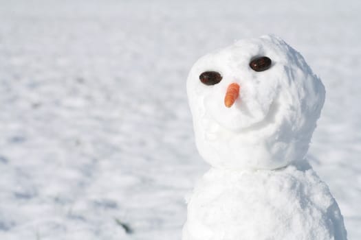 beautiful winter mood.snowman in winter.