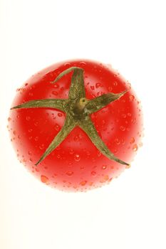 close-up of tomato with waterdrops strong backlit shallow DOF...........