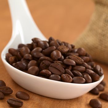 Roasted Peruvian coffee beans on ceramic spoon with jute sack in the back (Selective Focus, Focus on the coffee beans one third into the spoon)