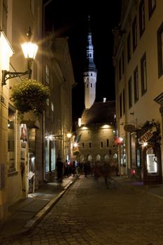 Tallinn Town Hall, Estonia.