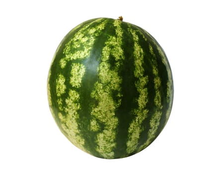 watermelon over white