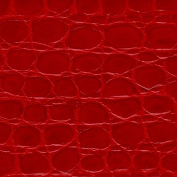 Red crocodile leather texture