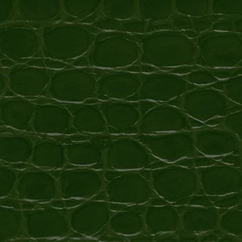 Green crocodile leather texture