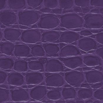 Purple crocodile leather texture