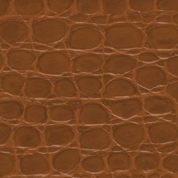 Brown crocodile leather texture