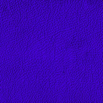 Blue leather texture. (high res. scan)