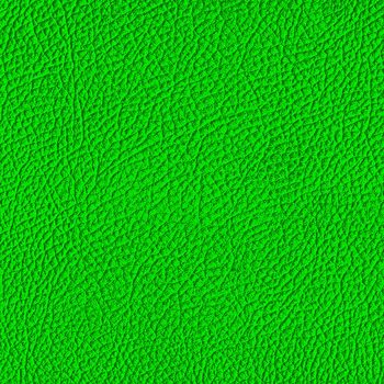 Green leather texture. (high res. scan)