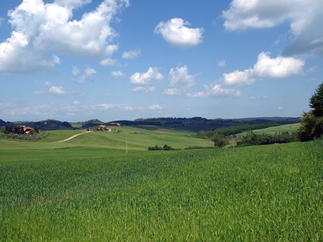 The landscape of the Val d’Orcia. Tuscany. 