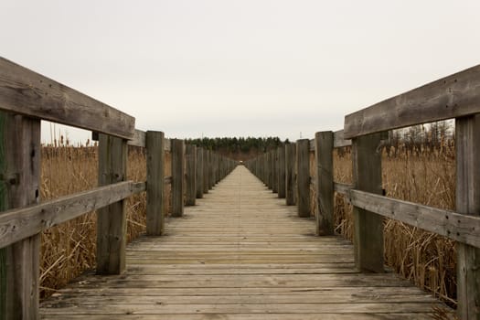 A boardwalk reaches out over a marsh.