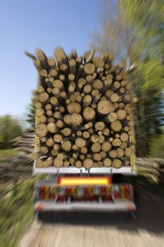 Loaded Timber on a truck