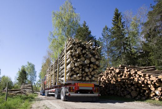 Truck with timber in the forest