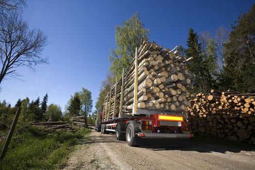 Truck with timber in the forest