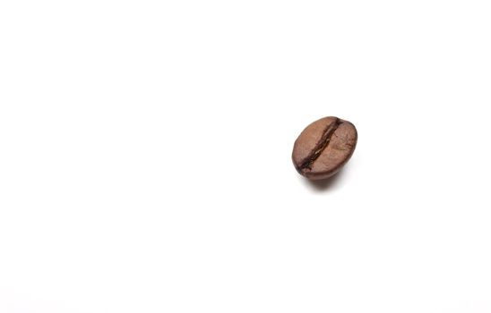 Coffee Bean.