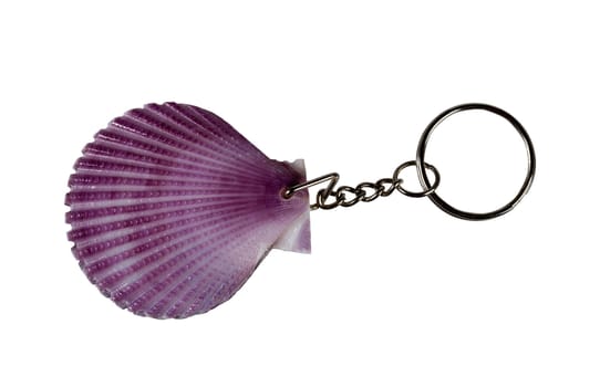 Seashell keychain. Isolated on white background