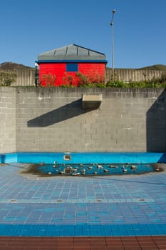 An empty paddling pool with blue and red tiles and a puddle of water with rocks with a red building and blue sky in the background.