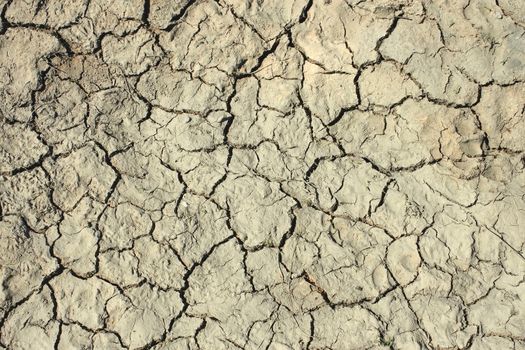 Deep cracks in the dried soil as a texture