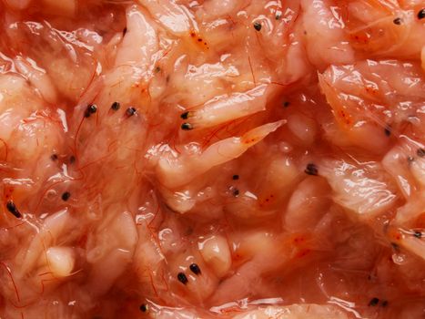 closeup of of fermented shrimps food background