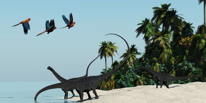 Three Diplodocus dinosaurs come to the water's edge for a cool drink in a hot tropical region.
