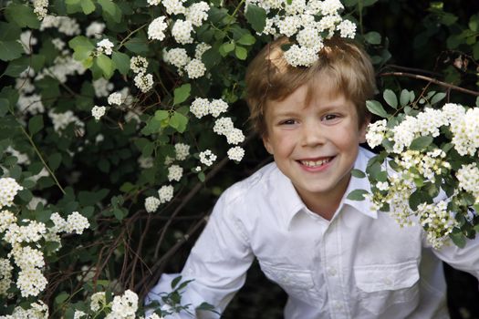 Portrait of the boy in white flower