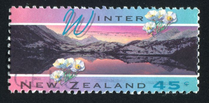 NEW ZEALAND - CIRCA 1994: stamp printed by New Zealand, shows Scenic Views of the Four Seasons, Winter, Mt. Cook lily, circa 1994