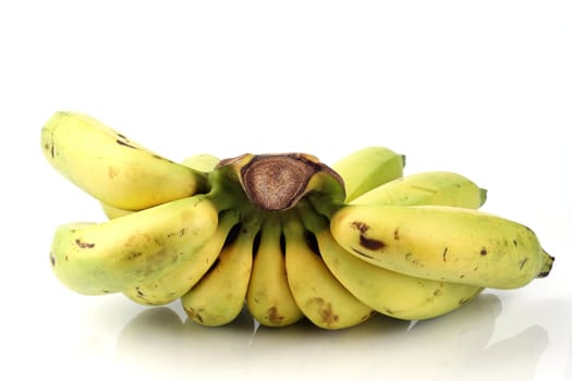 Banana bunch on the white background