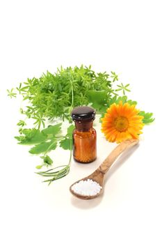 Homeopathy with globules, an apothecary jar and natural herbs