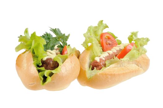 Two tasty and delicious hotdog. Isolated on white.