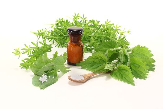 Homeopathy globules, an apothecary jar and fresh natural herbs