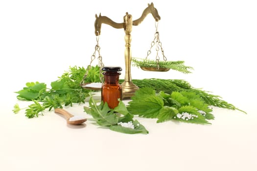 Homeopathy globules, an apothecary jar and scale, and fresh natural herbs