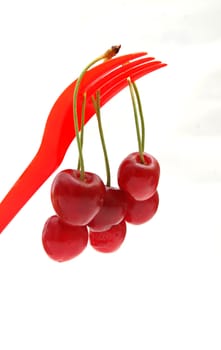 red cherry