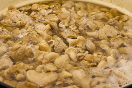 Mushrooms cook in a pan
