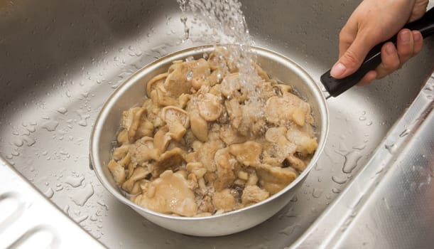 Mushrooms are washed out by water 